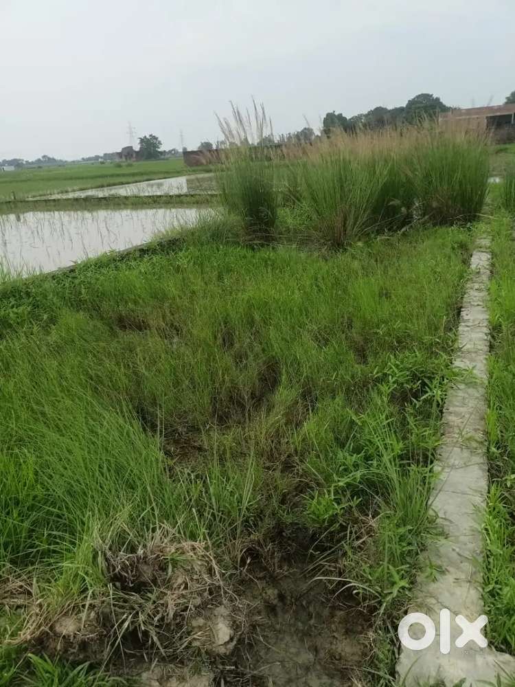 Chorsand se 300 mitter under, front 12 feet road