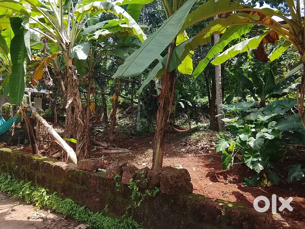 Square house plot for sale, 7.40 cent