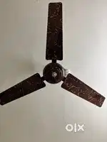 Ceiling fan on sale