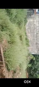 Masjid k aage saste bhao m