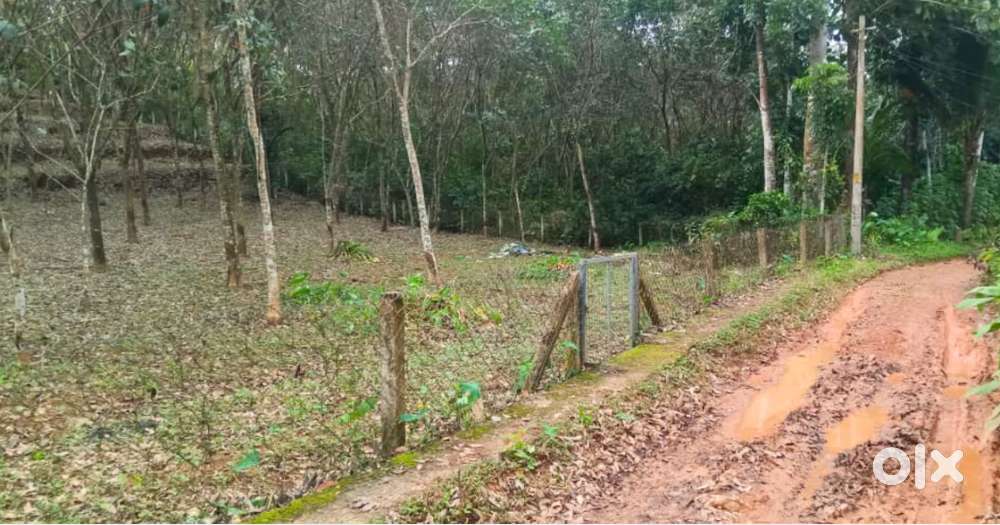 1 Acre 2.87 Cents Land for Sale in Kunnamthanam, Mallappally Taluk