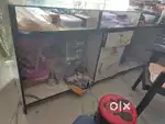 Shop counter new pis ha  8 din hi huye h