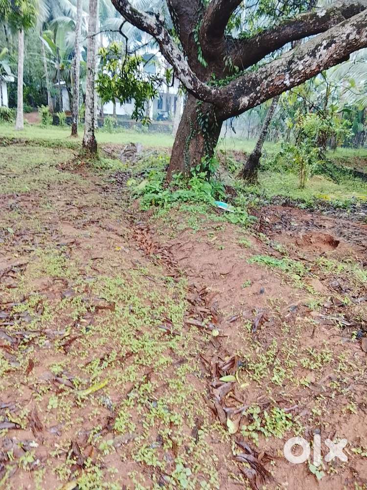 8 CENT LAND FOR SALE NADAKKAVU CALICUT