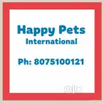 Sales Staff
