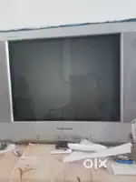 टीवी and fridge