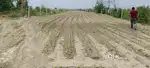Available agriculture land of 3 bigha for sale in ghaziabad