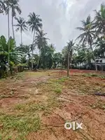 Commercial plot for sale
