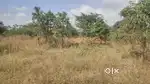6 Acre vacant agriculture land for sale near vathalakundu
