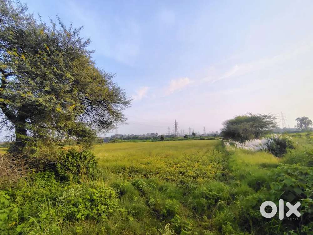Lake view Farmhouse plots near undasa dam
