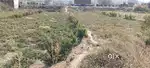 Premium Land for Sale in Dhankadha, Rohtas – ₹30 Lakh per Katha – Idea