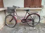 Atlas Cycle
