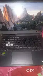 asus strix g15 ryzen 7 4800h price is negotiable
