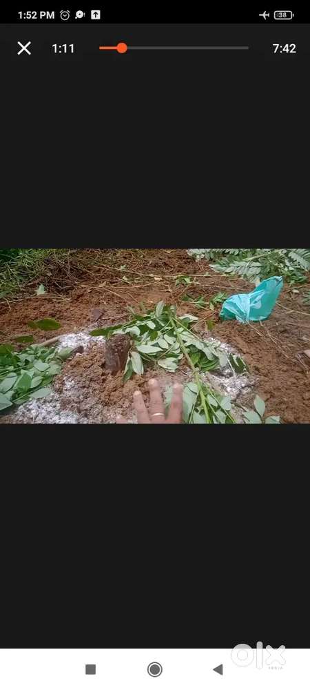 20  sent land low ബഡ്ജറ്റ് തടം ഉണ്ട്.