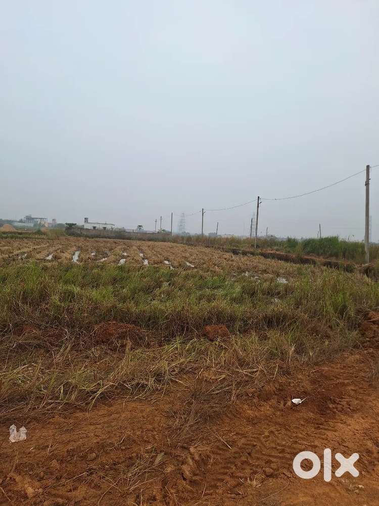 Free litigation land