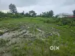 Premium Plot for Sale – Dhaulas, Dehradun