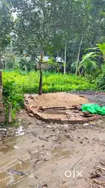 3 কাঠ জমি বিক্রিয় হবে। সাত ভাই কালিতলা