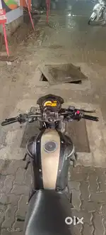 BEST IN FULL CONTIDITION