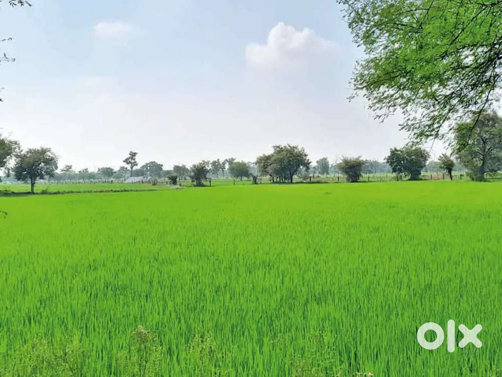 15 biga jamin  h sichit bhumi h