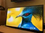 24 inches to 65 inches  wholesale tv shop all inch tv available
