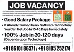 Anybody looking BPO or Technical Support / Medical Code/ IT SOFTWARE