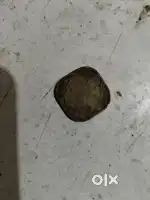 Old coin of india
