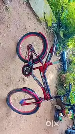 Bicycle for sale