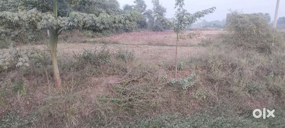 Very neat and clean land