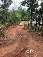 Rubber Farm