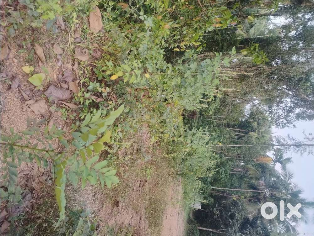 17 cents non converted land for sale