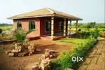 LUXURIOUS FARMHOUSE NEAR BHILAI MARKET