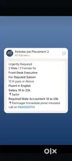 Backoffice executive