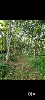 4.5 Acre plot for Sale near Vizhinjam - Navaikulam Ring Road