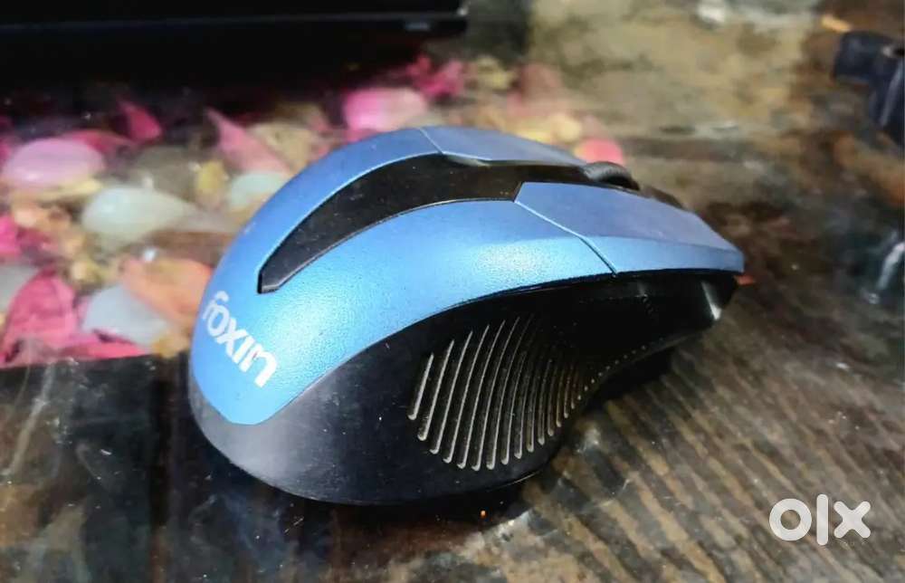 Foxin wierless mouse,  (2) quantum wierd mouse