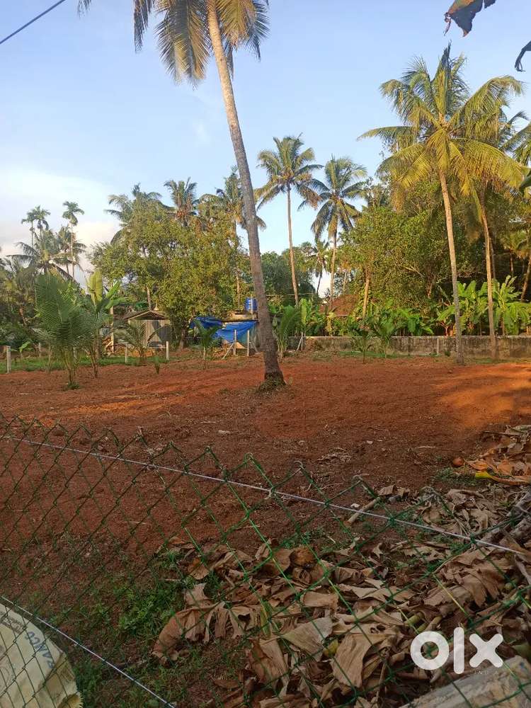 18 cent plot for sale