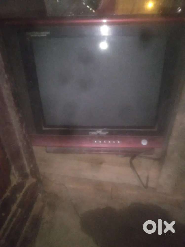 Little bee tv