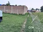 500 sq ft land at daulatpur ara bhojpur