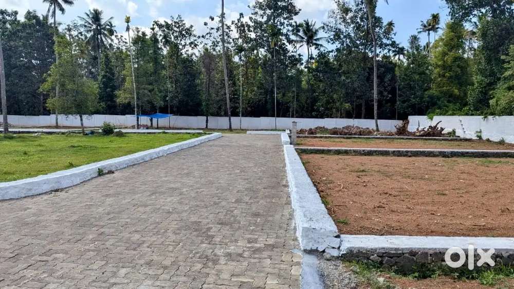 Near Naipunnya College, Angamaly Premium Residential Plots- 90% Loan