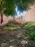 Suncity Enclave bodal road bathinda