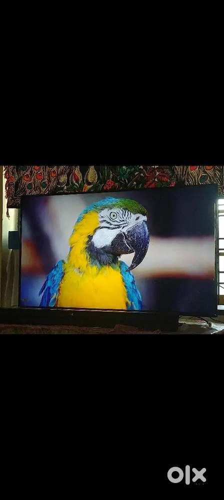Thomson 50 inch 4K QLED Android Smart TV with Dolby Atmos