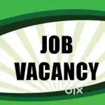 Tele calling, office assistant, team leader