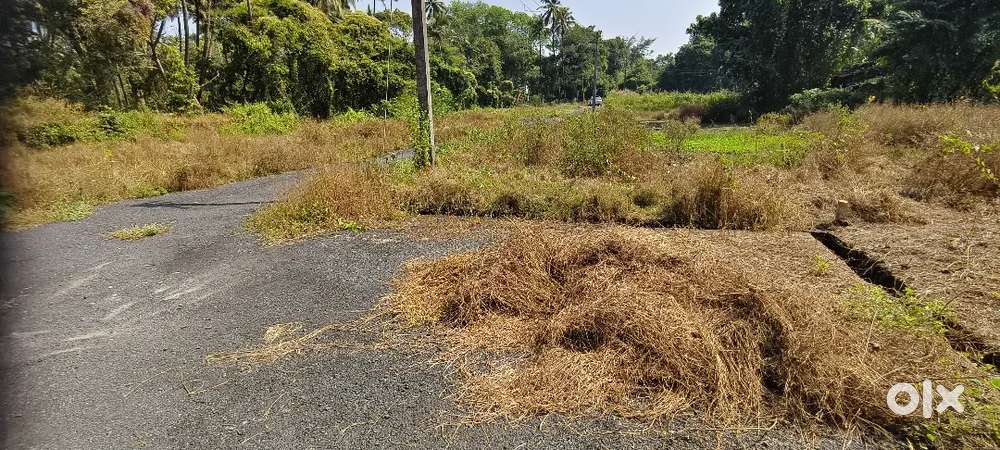 447sq and 414sq plot Navelim