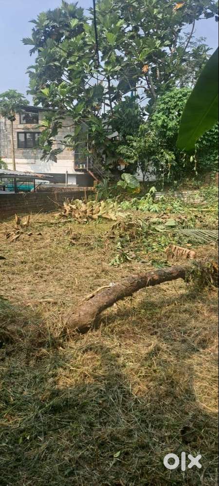 Plot For sale in kanjikuzhy