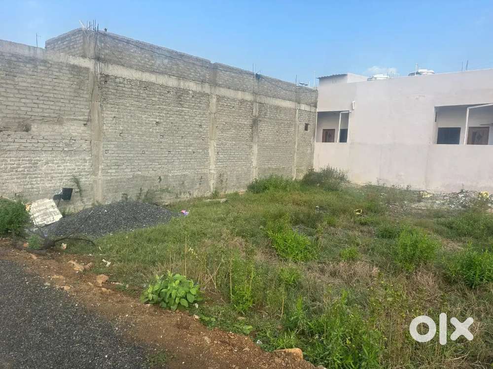 Mouza - narsala hudkeshwar road pipla petrol pump ke piche