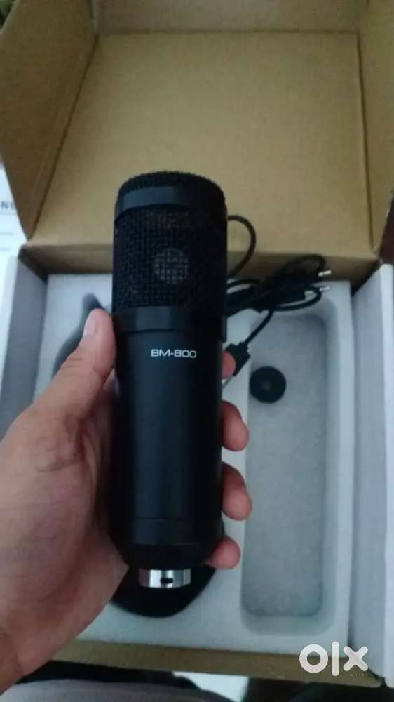 Audio mike