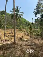 7acres rubber plantation near Arumanai, kanyakumari dist