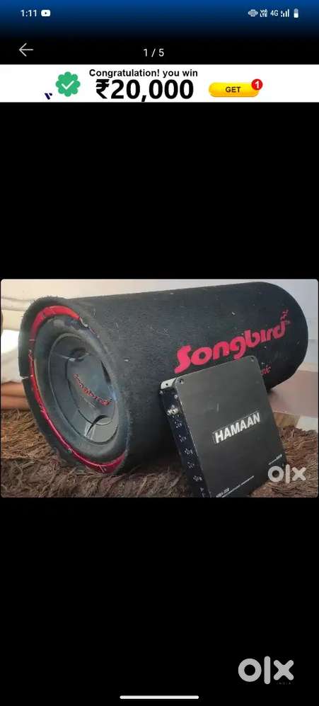 Bass tube 12 inch & amp