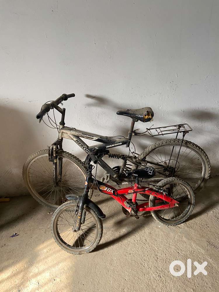 2 cycle in your price