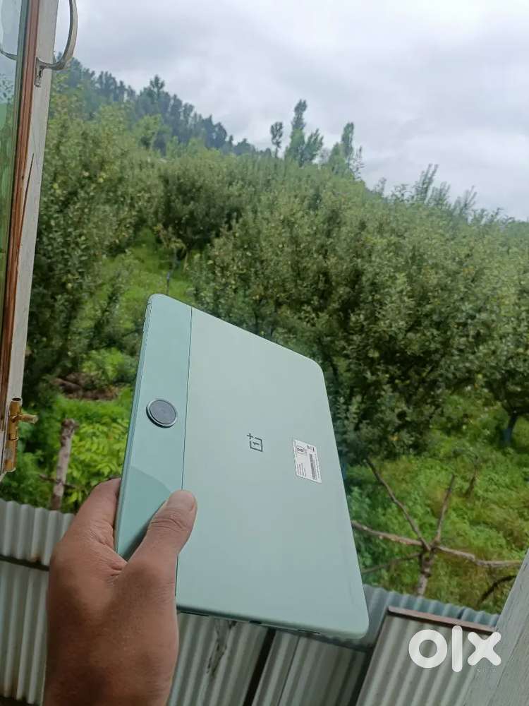 One plus pad go
