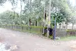 House pot 10.5 cent at Adichira-Thellakom 3.75 lakh/cent