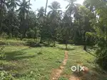 Residensial plots for sale @ karumathra near ottupara and punnamparamb